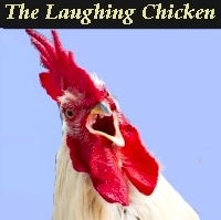 the laughing chicken